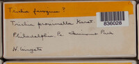 Image Associated With the Occurence
